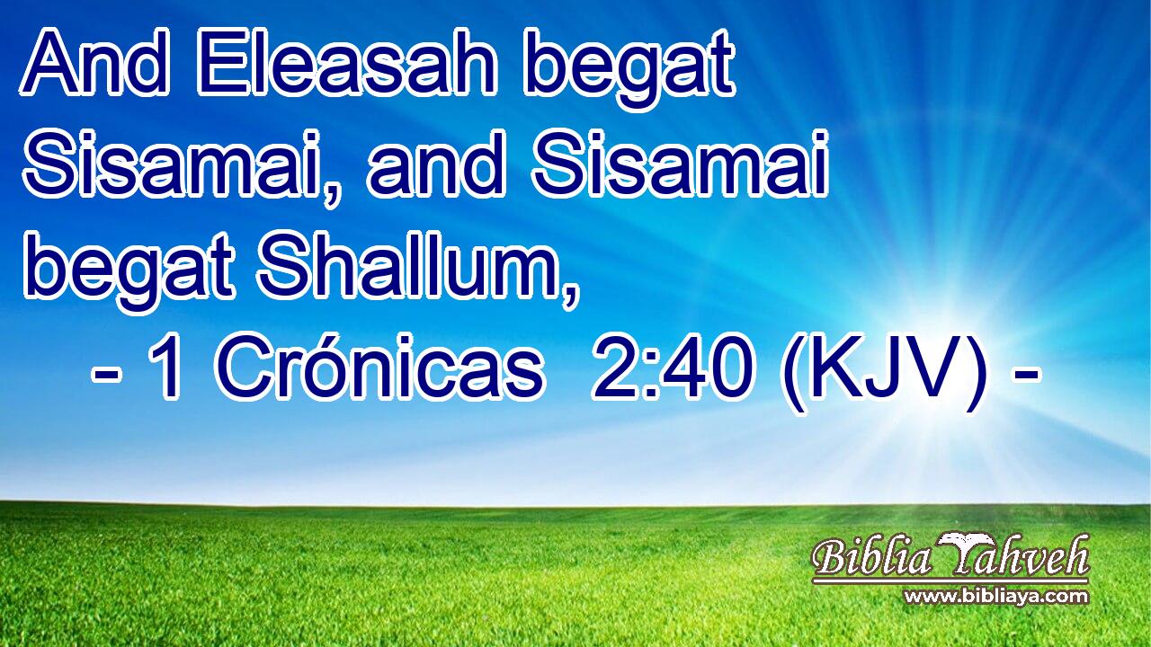 And Eleasah begat Sisamai, and Sisamai begat Shallum,