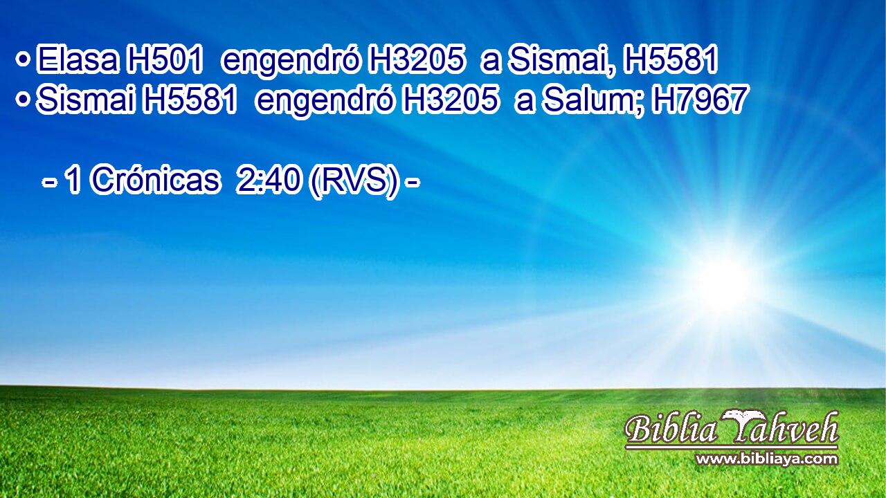 • Elasa H501  engendró H3205  a Sismai, H5581  • Sismai H5581  engendró H3205  a Salum; H7967  