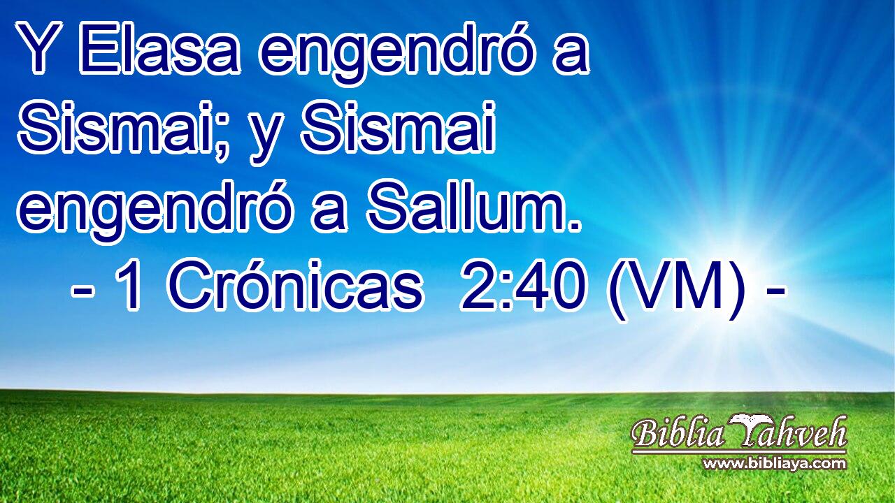  Y Elasa engendró a Sismai; y Sismai engendró a Sallum. 