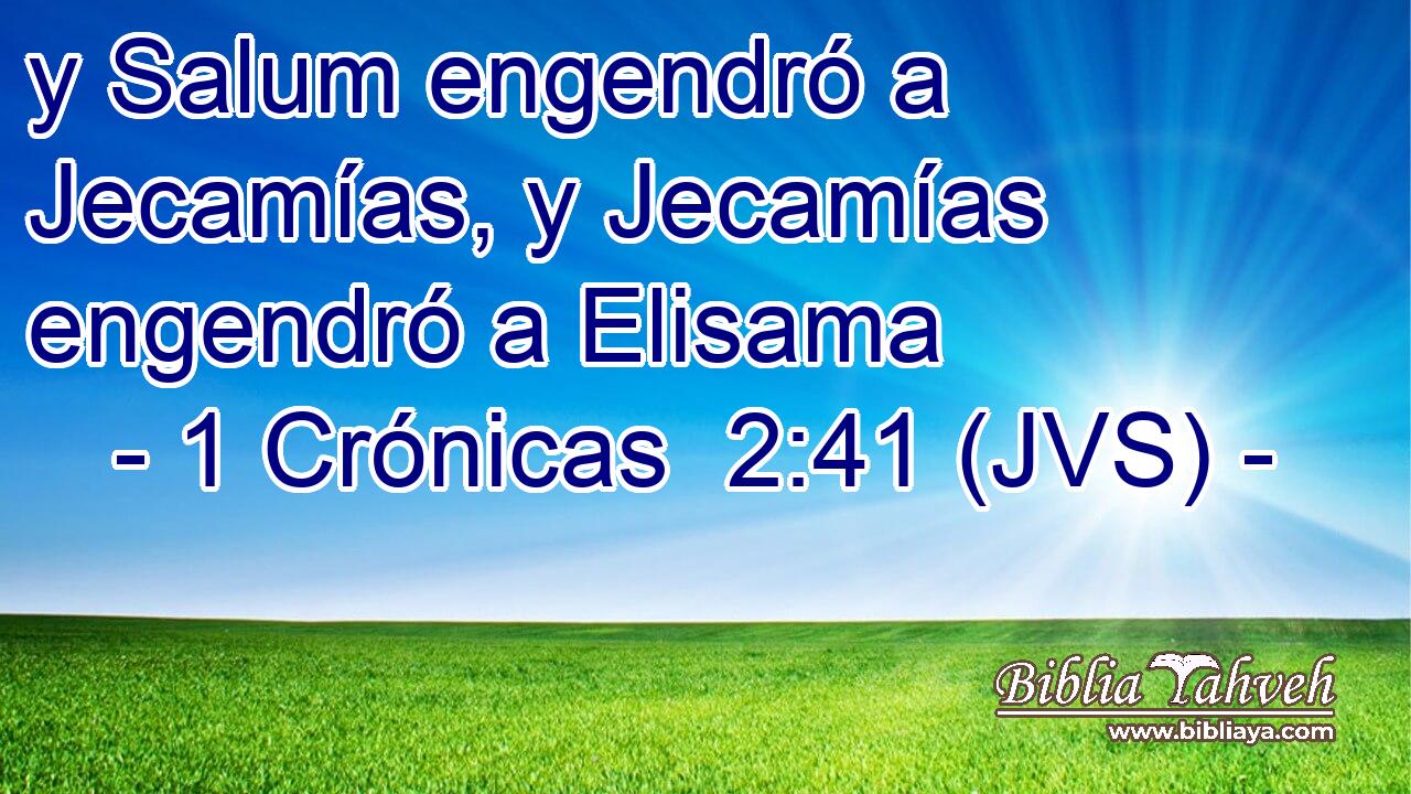 y Salum engendró a Jecamías, y Jecamías engendró a Elisama