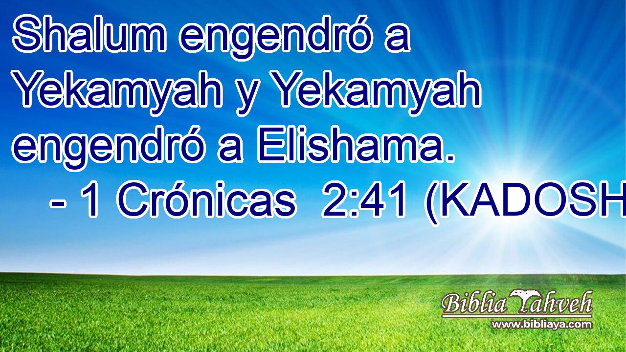  Shalum engendró a Yekamyah y Yekamyah engendró a Elishama. 