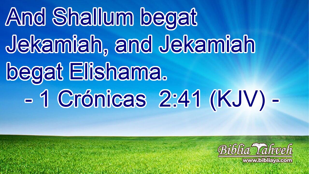 And Shallum begat Jekamiah, and Jekamiah begat Elishama.