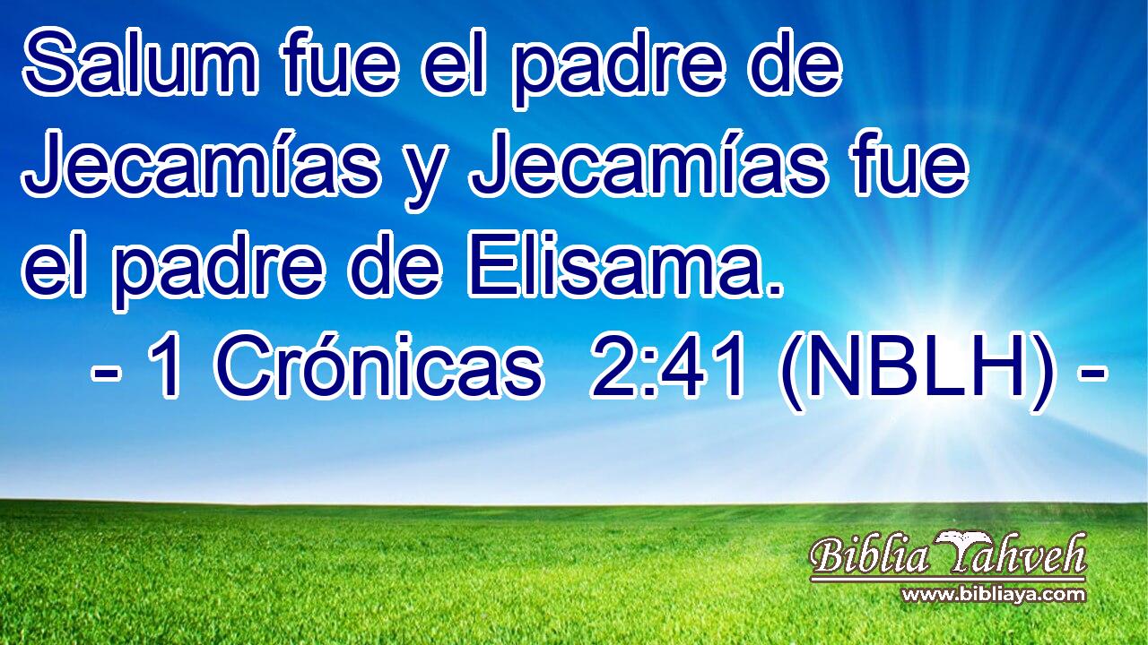  Salum fue el padre de Jecamías y Jecamías fue el padre de Elisama. 