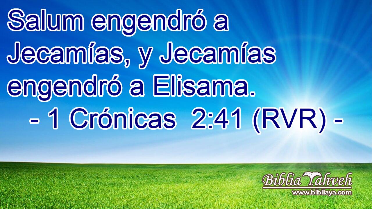Salum engendró a Jecamías, y Jecamías engendró a Elisama.