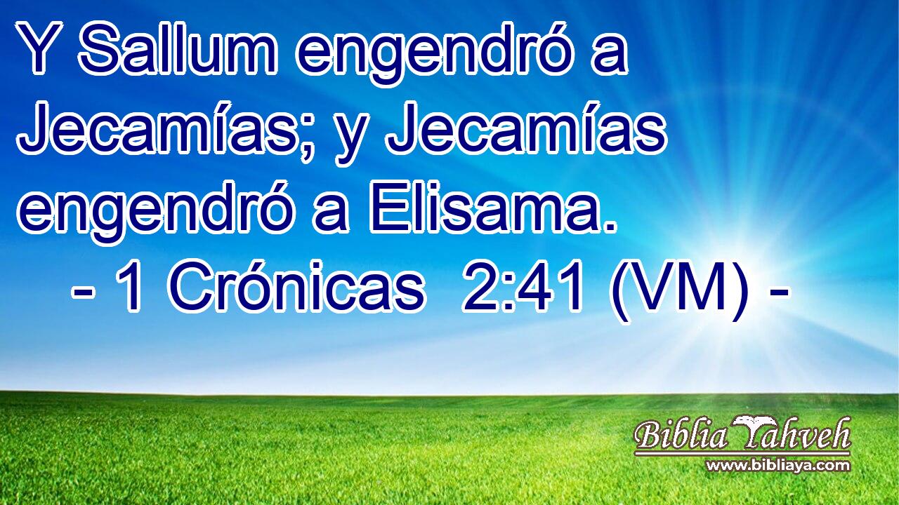  Y Sallum engendró a Jecamías; y Jecamías engendró a Elisama. 