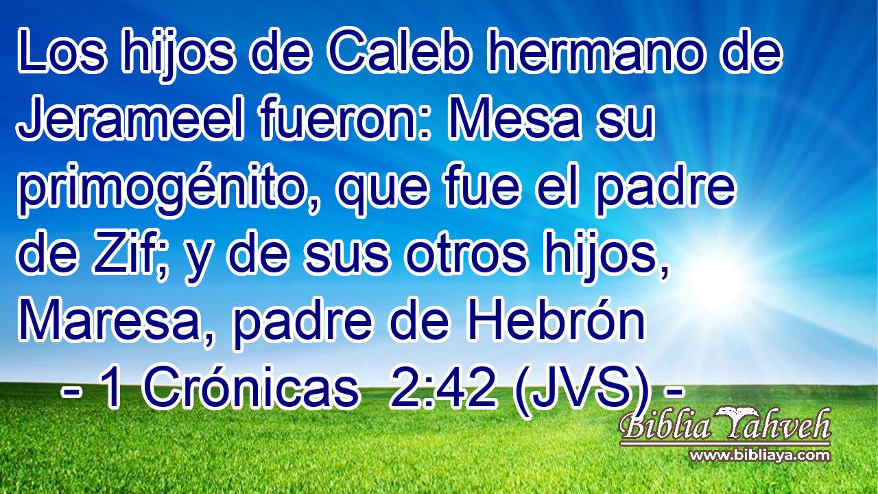 Los hijos de Caleb hermano de Jerameel fueron: Mesa su primogénito, que fue el padre de Zif; y de sus otros hijos, Maresa, padre de Hebrón