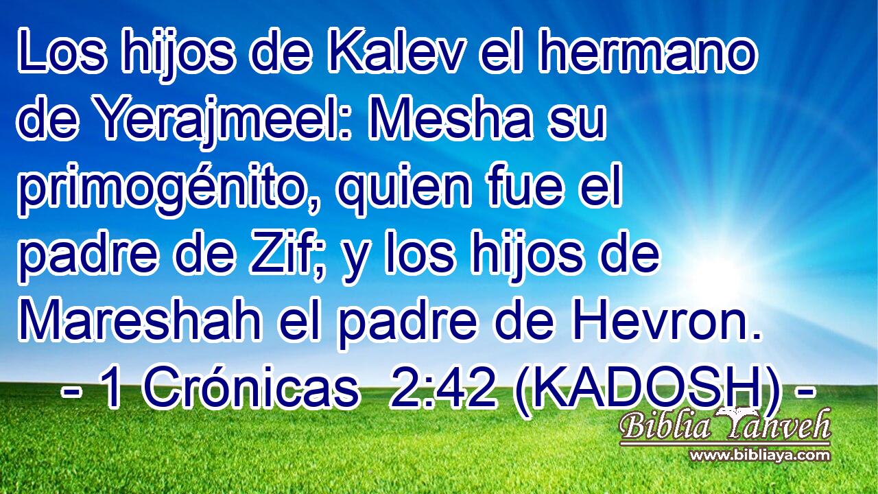 Los hijos de Kalev el hermano de Yerajmeel: Mesha su primogénito, quien fue el padre de Zif; y los hijos de Mareshah el padre de Hevron. 
