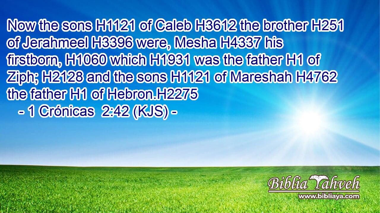 Now the sons H1121 of Caleb H3612 the brother H251 of Jerahmeel H3396 were, Mesha H4337 his firstborn, H1060 which H1931 was the father H1 of Ziph; H2128 and the sons H1121 of Mareshah H4762 the father H1 of Hebron.H2275