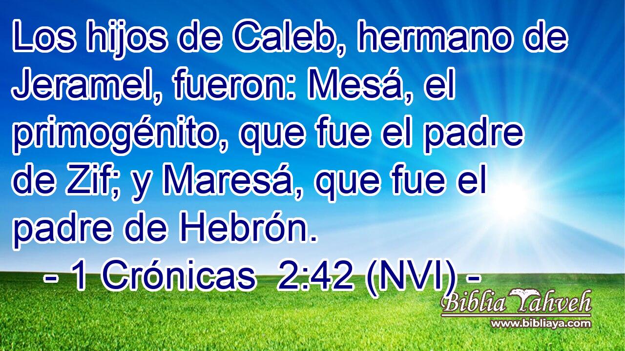  Los hijos de Caleb, hermano de Jeramel, fueron: Mesá, el primogénito, que fue el padre de Zif; y Maresá, que fue el padre de Hebrón. 