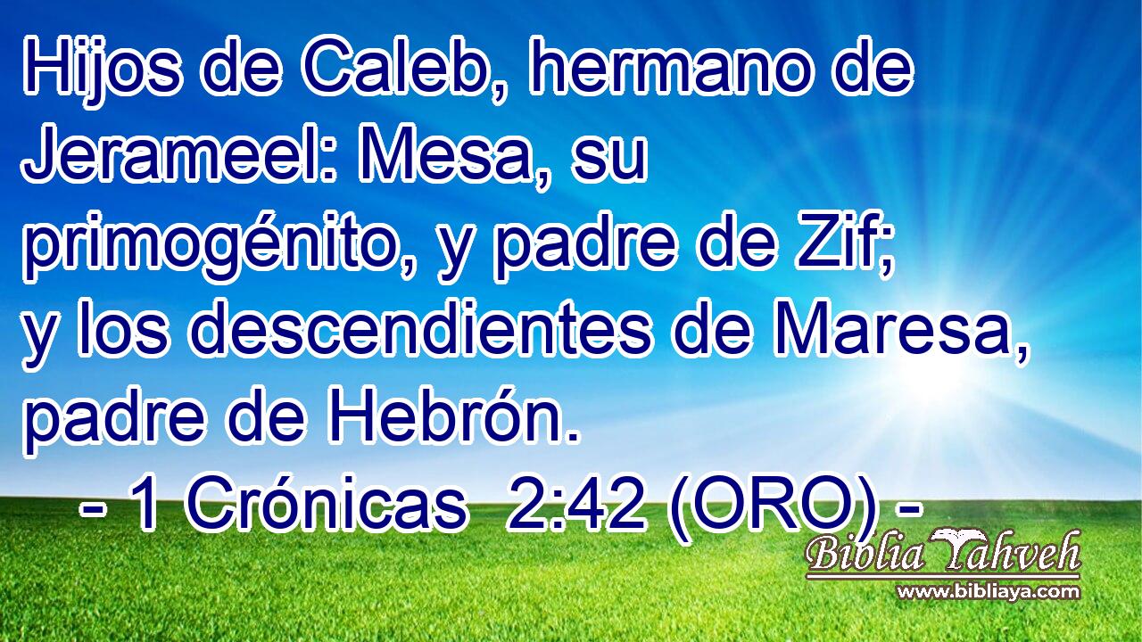  Hijos de Caleb, hermano de Jerameel: Mesa, su primogénito, y padre de Zif; y los descendientes de Maresa, padre de Hebrón. 