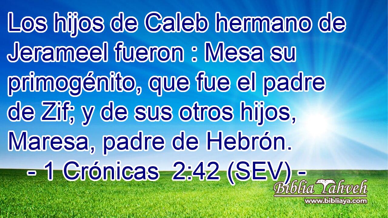 Los hijos de Caleb hermano de Jerameel fueron : Mesa su primogénito, que fue el padre de Zif; y de sus otros hijos, Maresa, padre de Hebrón.