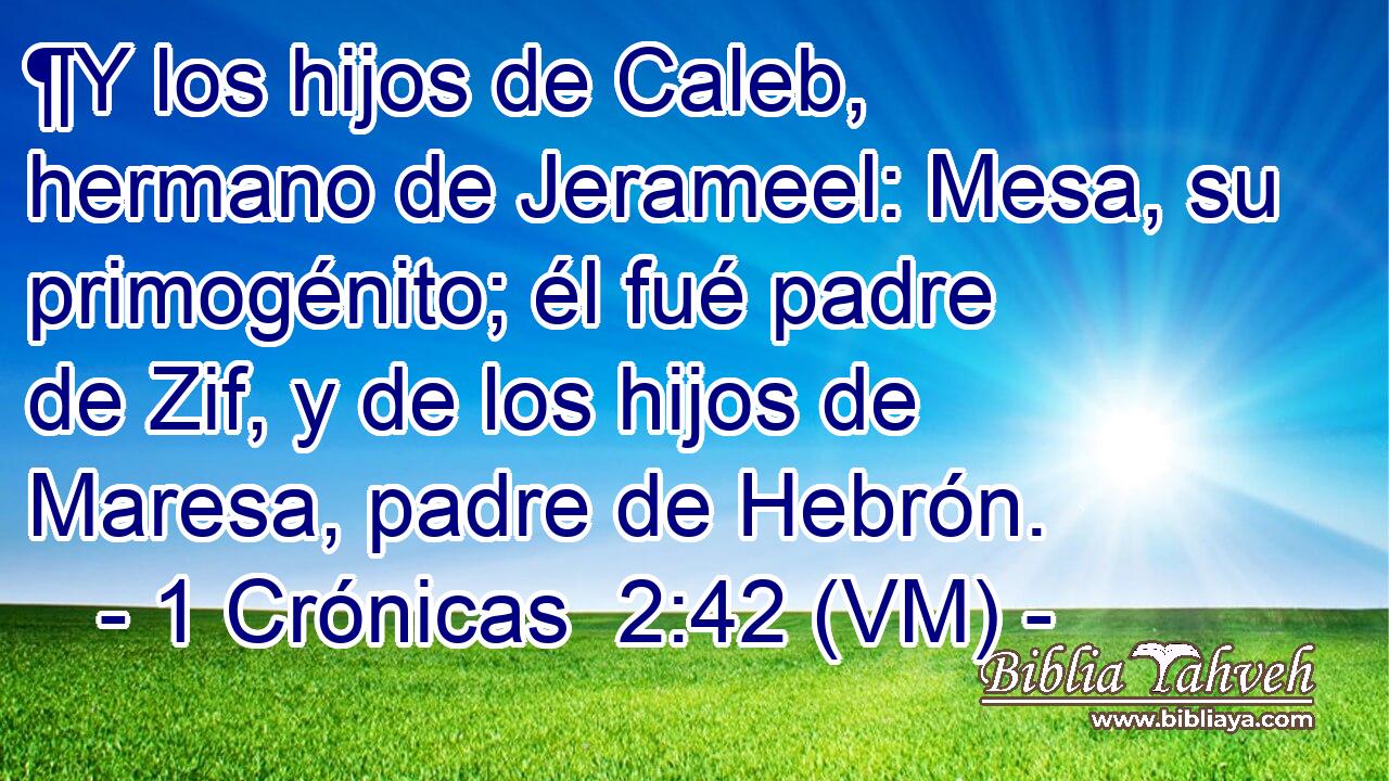  ¶Y los hijos de Caleb, hermano de Jerameel: Mesa, su primogénito; él fué padre de Zif, y de los hijos de Maresa, padre de Hebrón. 