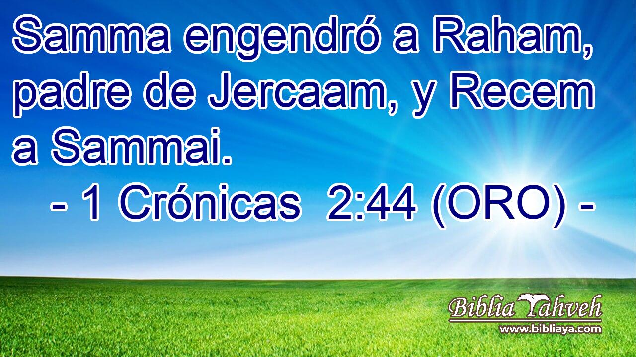  Samma engendró a Raham, padre de Jercaam, y Recem a Sammai. 