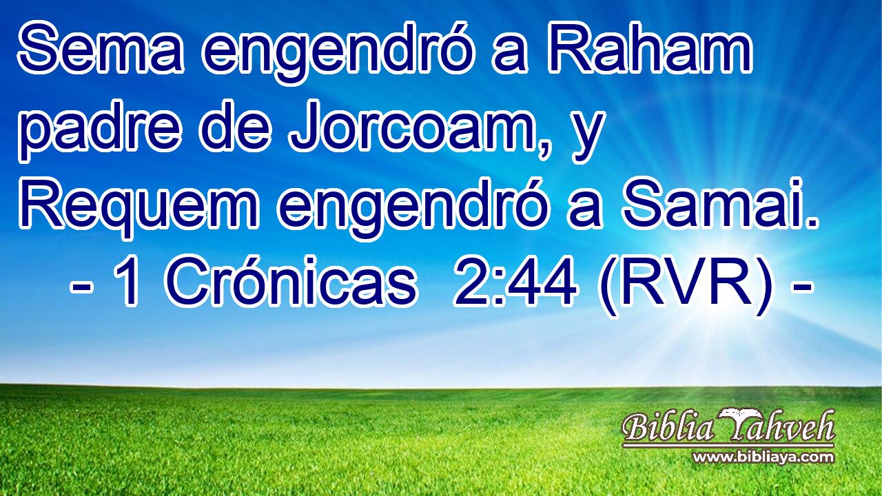 Sema engendró a Raham padre de Jorcoam, y Requem engendró a Samai.