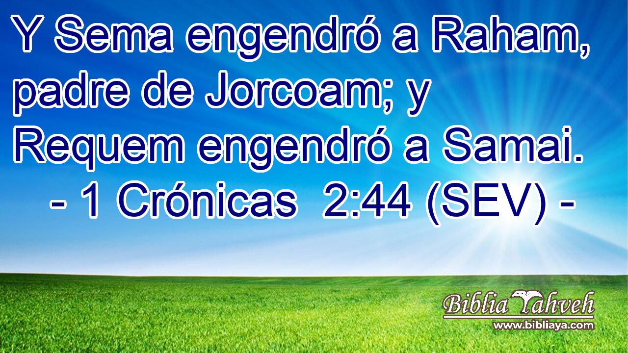 Y Sema engendró a Raham, padre de Jorcoam; y Requem engendró a Samai.