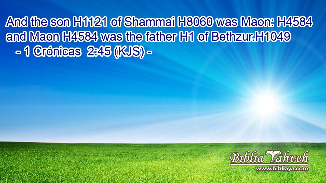 And the son H1121 of Shammai H8060 was Maon: H4584 and Maon H4584 was the father H1 of Bethzur.H1049