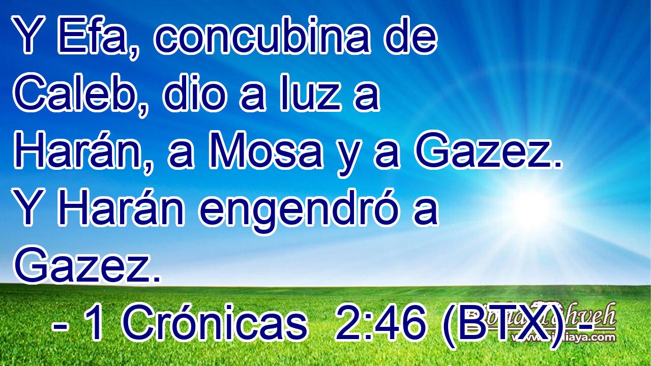 Y Efa, concubina de Caleb, dio a luz a Harán, a Mosa y a Gazez. Y Harán engendró a Gazez.
