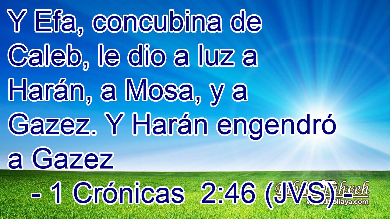 Y Efa, concubina de Caleb, le dio a luz a Harán, a Mosa, y a Gazez. Y Harán engendró a Gazez