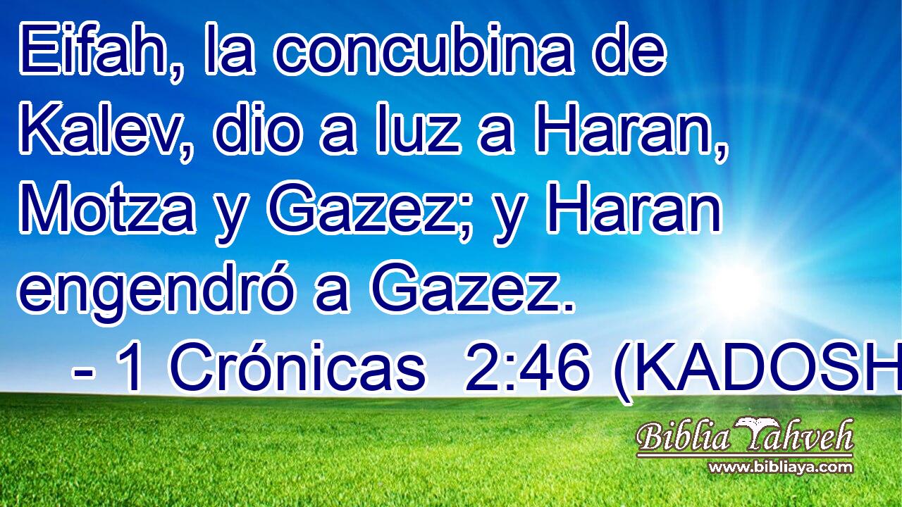 Eifah, la concubina de Kalev, dio a luz a Haran, Motza y Gazez; y Haran engendró a Gazez. 