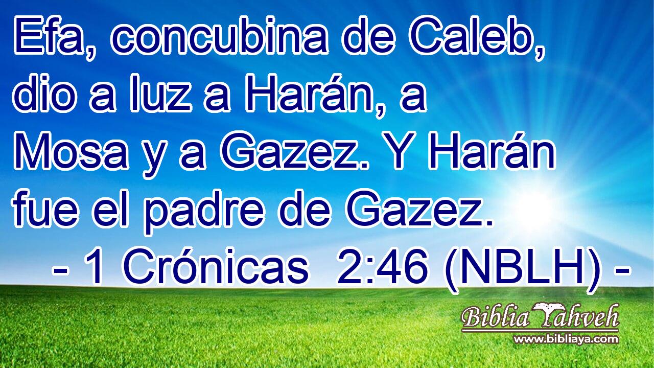  Efa, concubina de Caleb, dio a luz a Harán, a Mosa y a Gazez. Y Harán fue el padre de Gazez. 