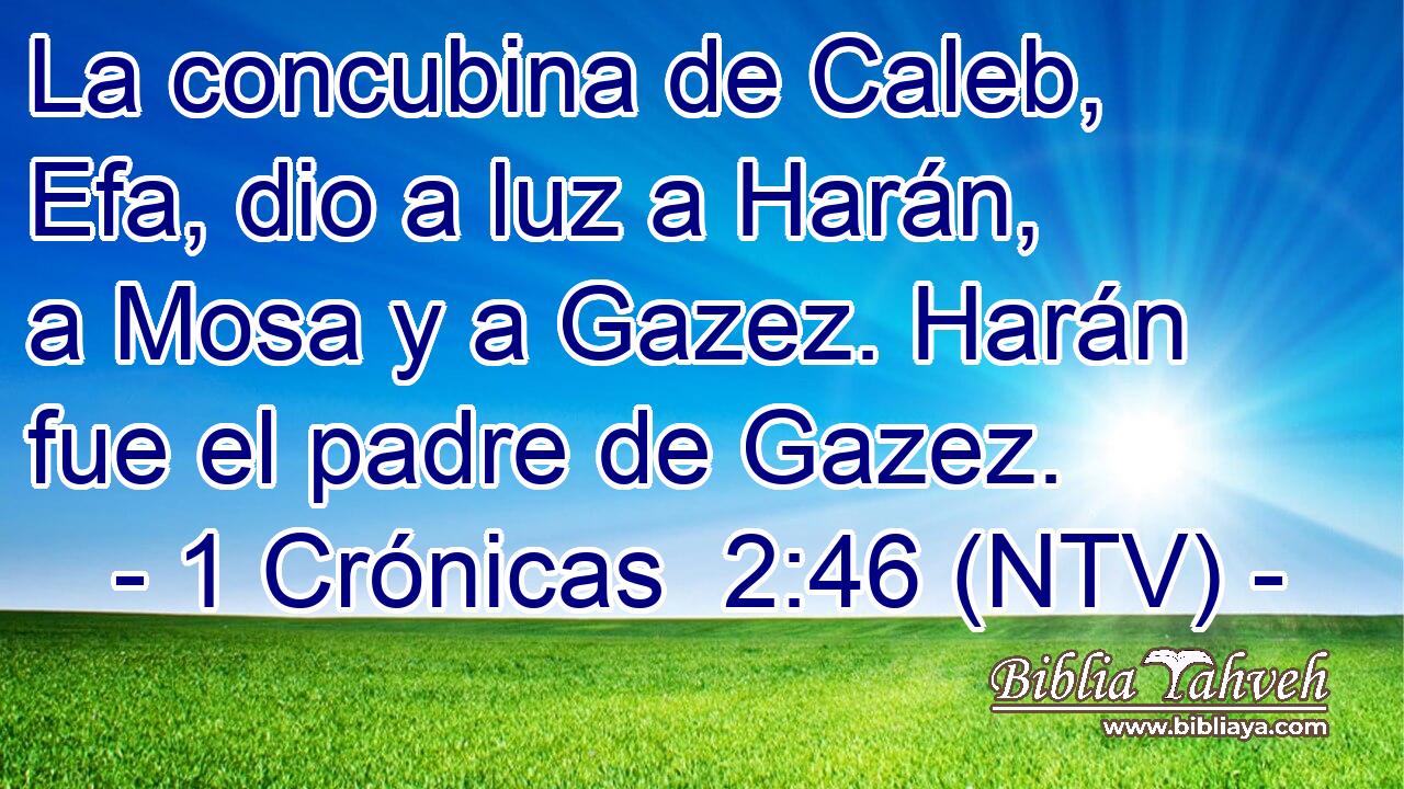 La concubina de Caleb, Efa, dio a luz a Harán, a Mosa y a Gazez. Harán fue el padre de Gazez.