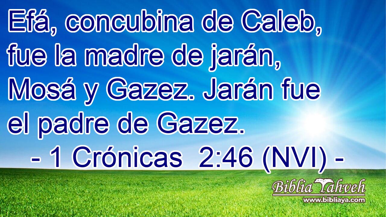  Efá, concubina de Caleb, fue la madre de jarán, Mosá y Gazez. Jarán fue el padre de Gazez. 
