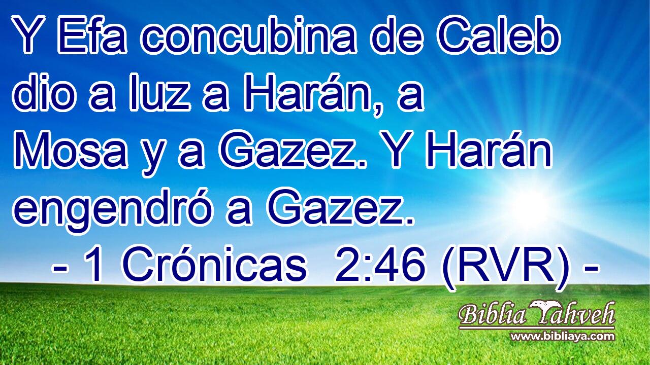 Y Efa concubina de Caleb dio a luz a Harán, a Mosa y a Gazez. Y Harán engendró a Gazez.