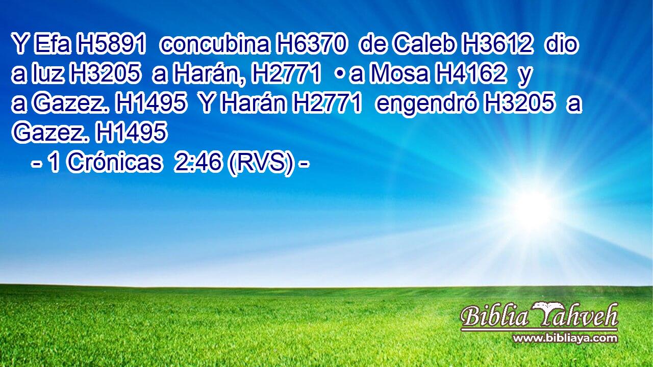 Y Efa H5891  concubina H6370  de Caleb H3612  dio a luz H3205  a Harán, H2771  • a Mosa H4162  y a Gazez. H1495  Y Harán H2771  engendró H3205  a Gazez. H1495  