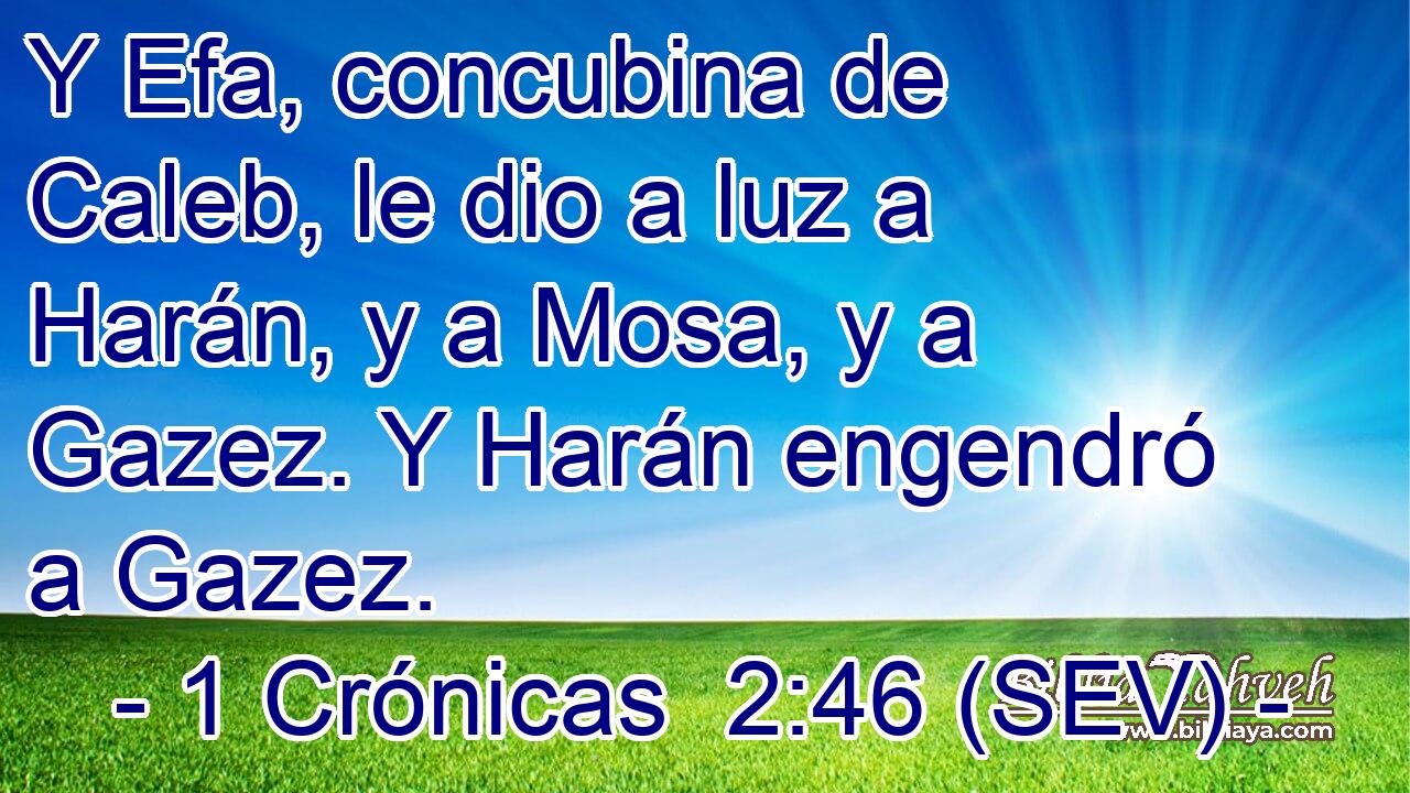 Y Efa, concubina de Caleb, le dio a luz a Harán, y a Mosa, y a Gazez. Y Harán engendró a Gazez.