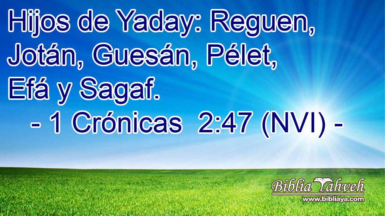  Hijos de Yaday: Reguen, Jotán, Guesán, Pélet, Efá y Sagaf. 