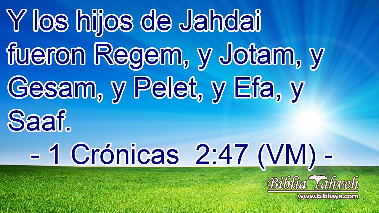  Y los hijos de Jahdai fueron Regem, y Jotam, y Gesam, y Pelet, y Efa, y Saaf. 