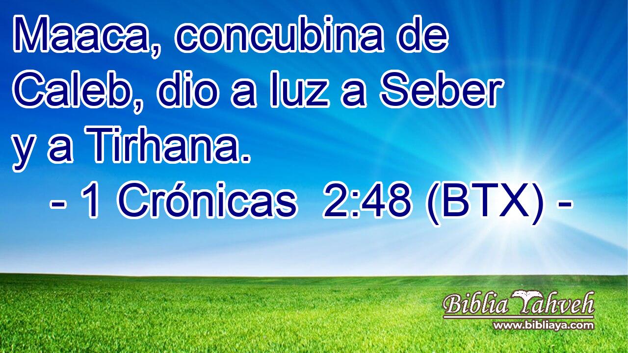 Maaca, concubina de Caleb, dio a luz a Seber y a Tirhana.