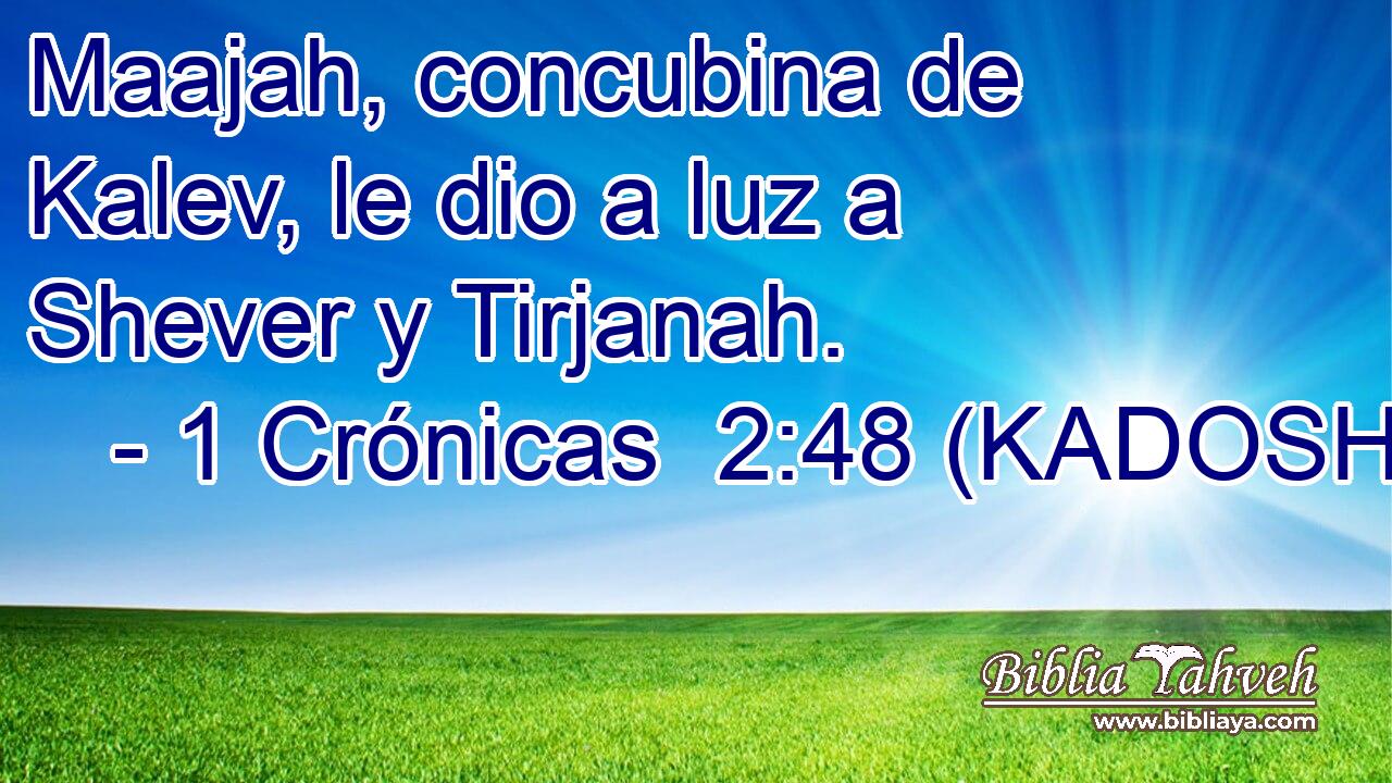  Maajah, concubina de Kalev, le dio a luz a Shever y Tirjanah. 