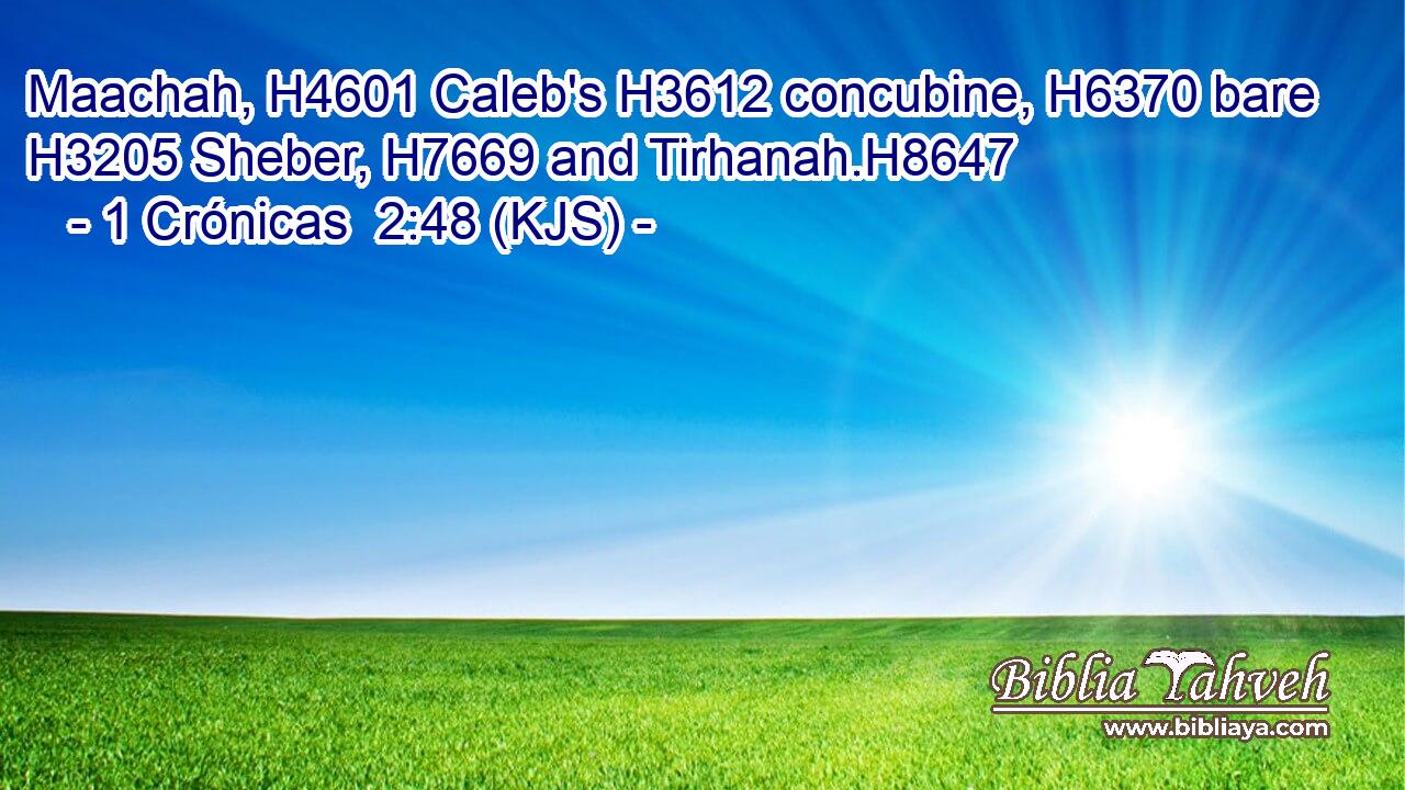 Maachah, H4601 Caleb's H3612 concubine, H6370 bare H3205 Sheber, H7669 and Tirhanah.H8647