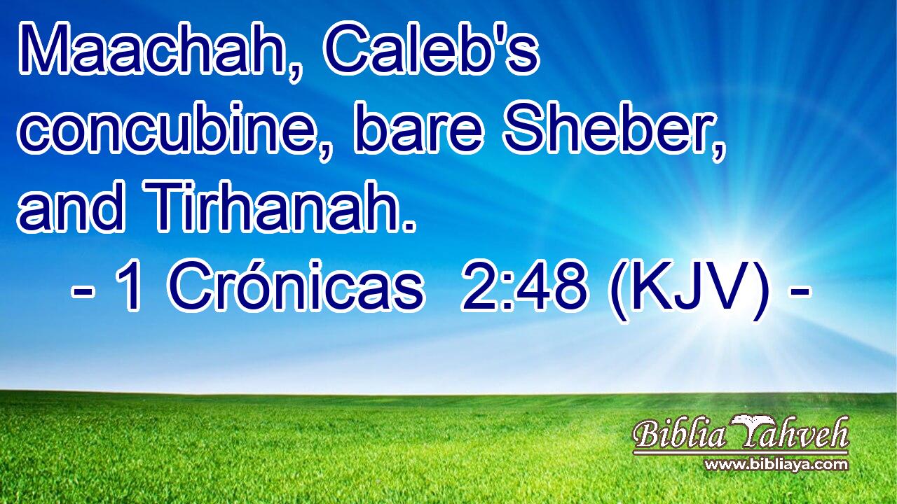 Maachah, Caleb's concubine, bare Sheber, and Tirhanah.