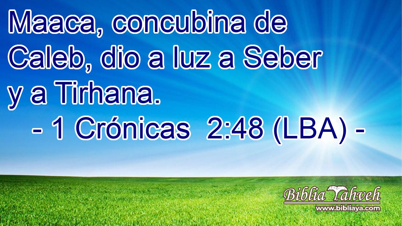 Maaca, concubina de Caleb, dio a luz a Seber y a Tirhana.