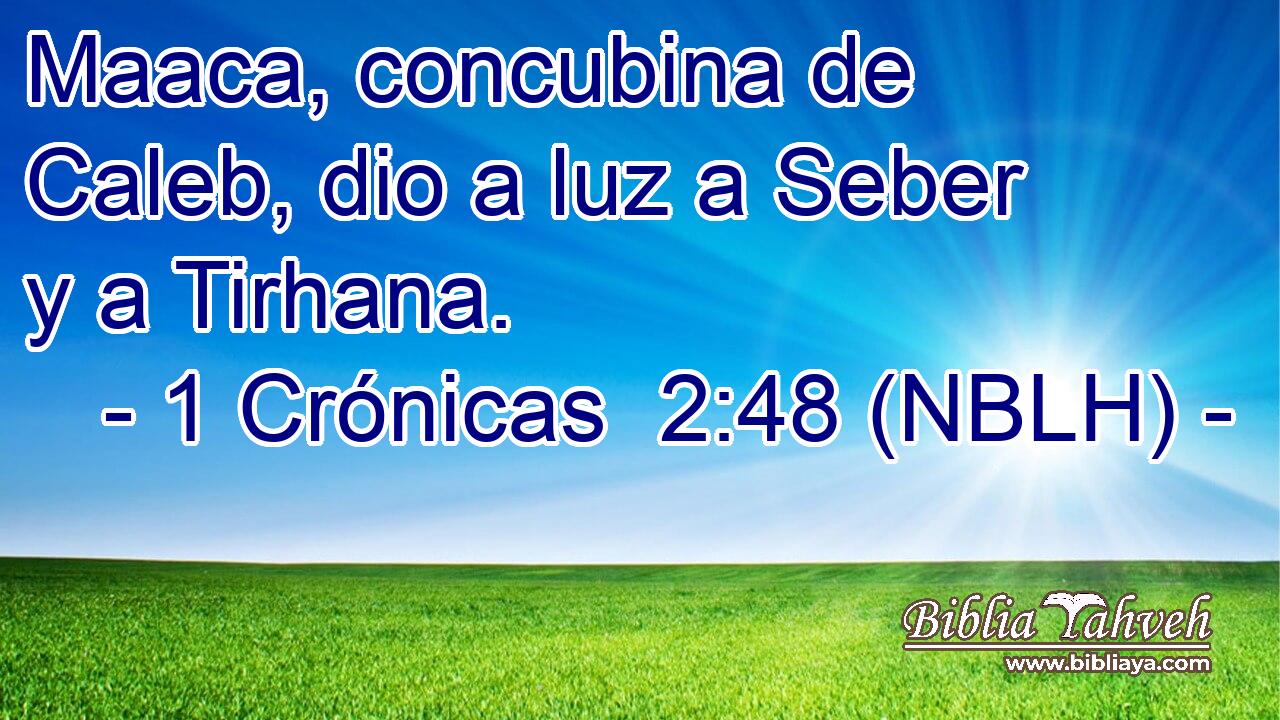  Maaca, concubina de Caleb, dio a luz a Seber y a Tirhana. 
