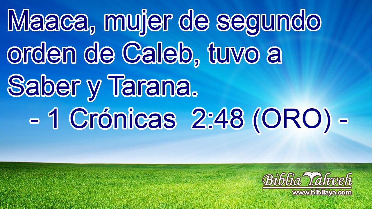  Maaca, mujer de segundo orden de Caleb, tuvo a Saber y Tarana. 