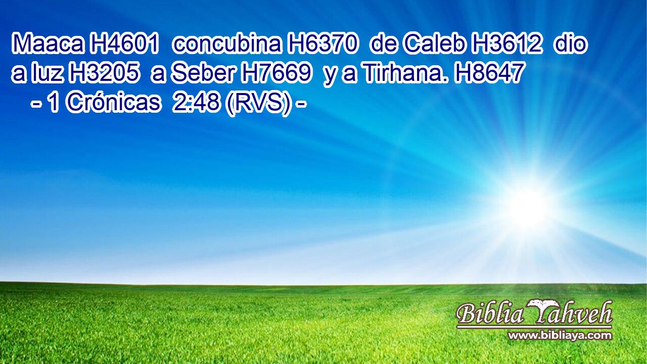 Maaca H4601  concubina H6370  de Caleb H3612  dio a luz H3205  a Seber H7669  y a Tirhana. H8647  