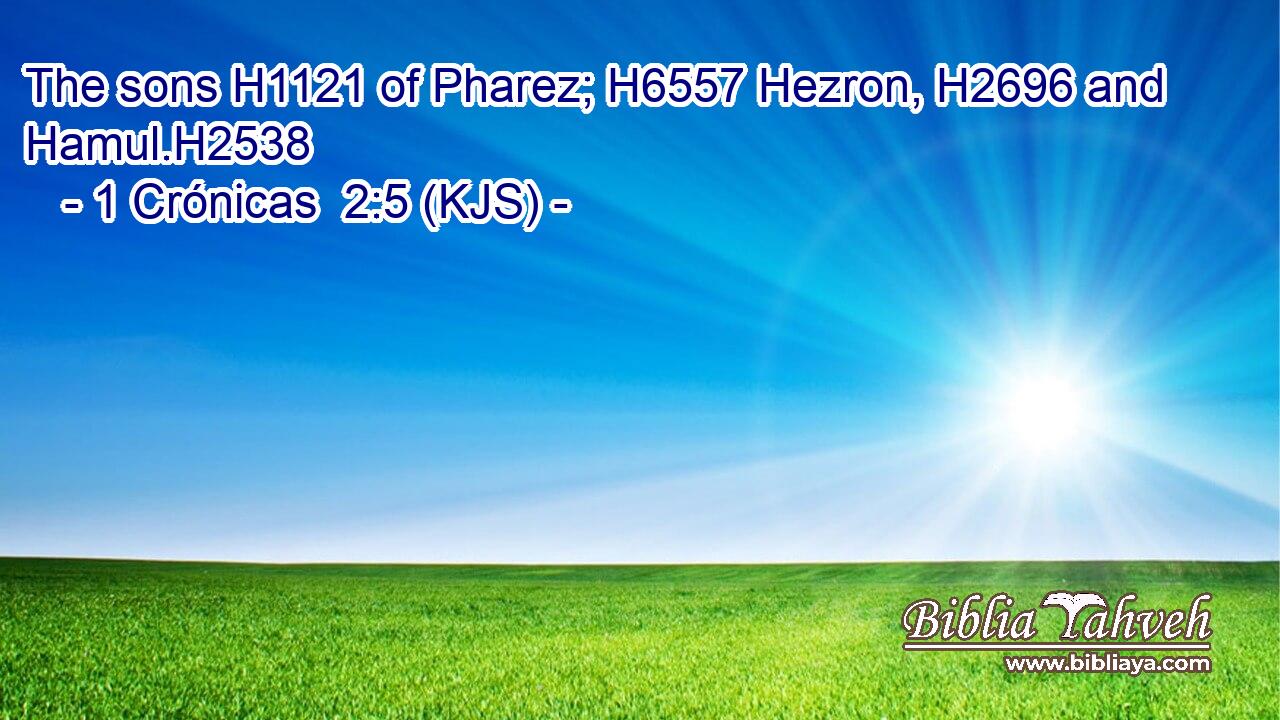 The sons H1121 of Pharez; H6557 Hezron, H2696 and Hamul.H2538