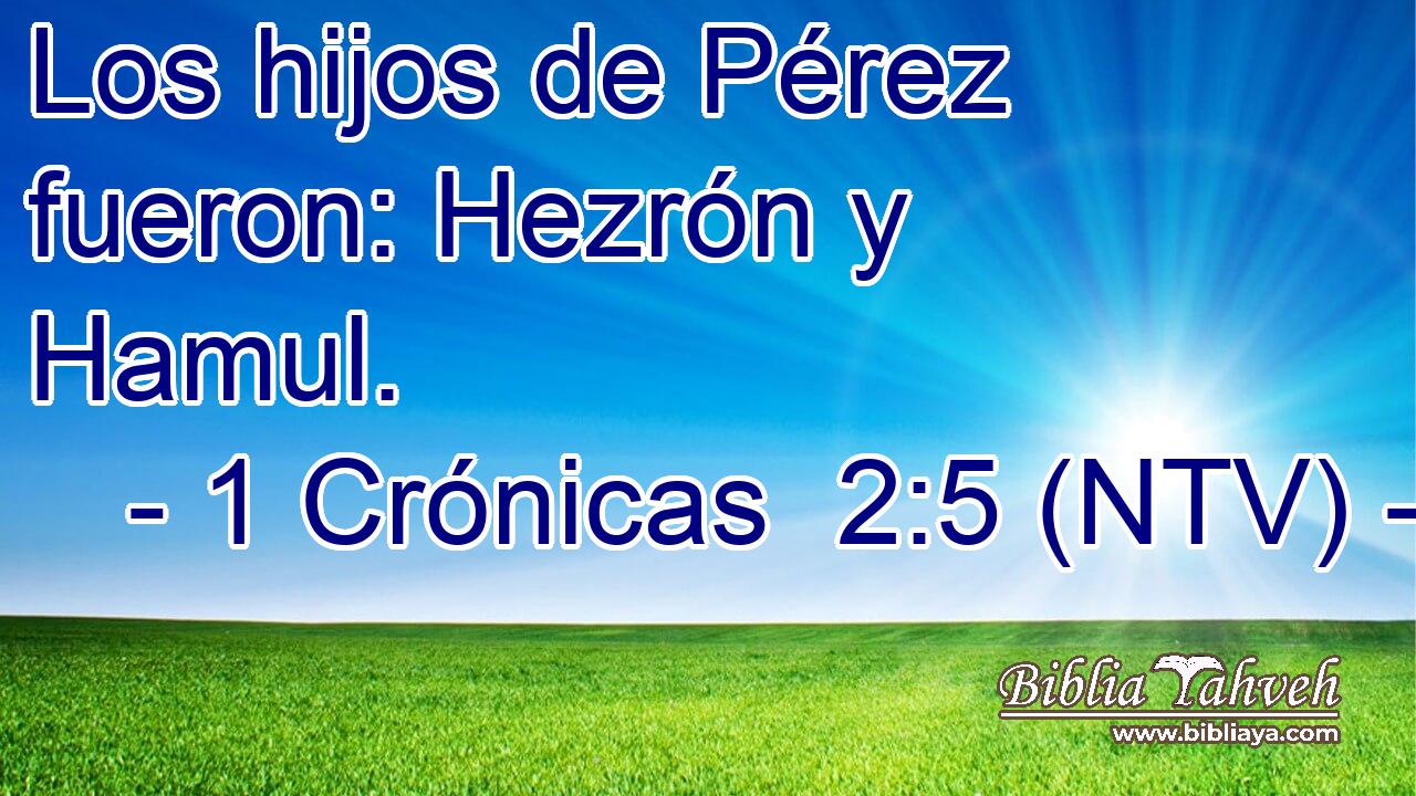 Los hijos de Pérez fueron: Hezrón y Hamul.