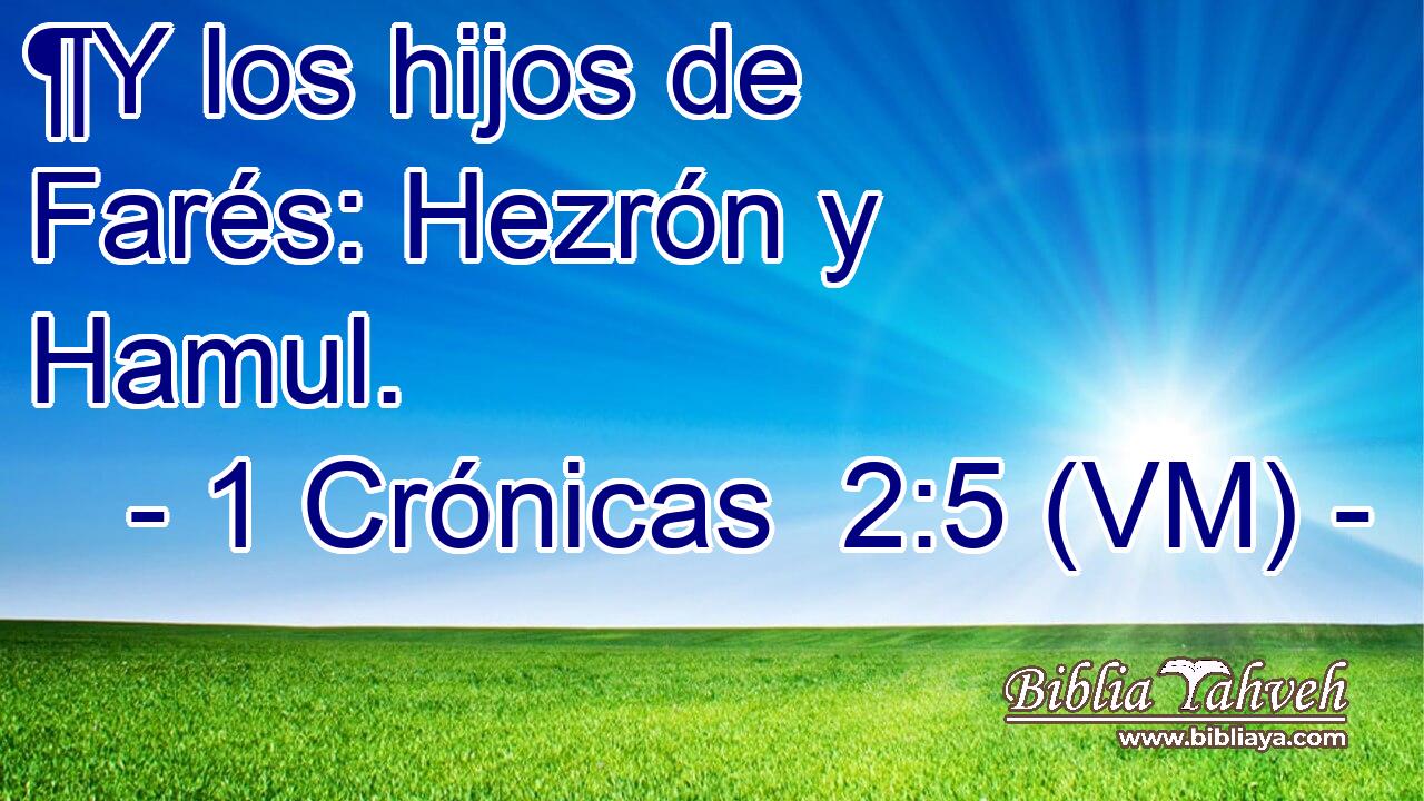  ¶Y los hijos de Farés: Hezrón y Hamul. 