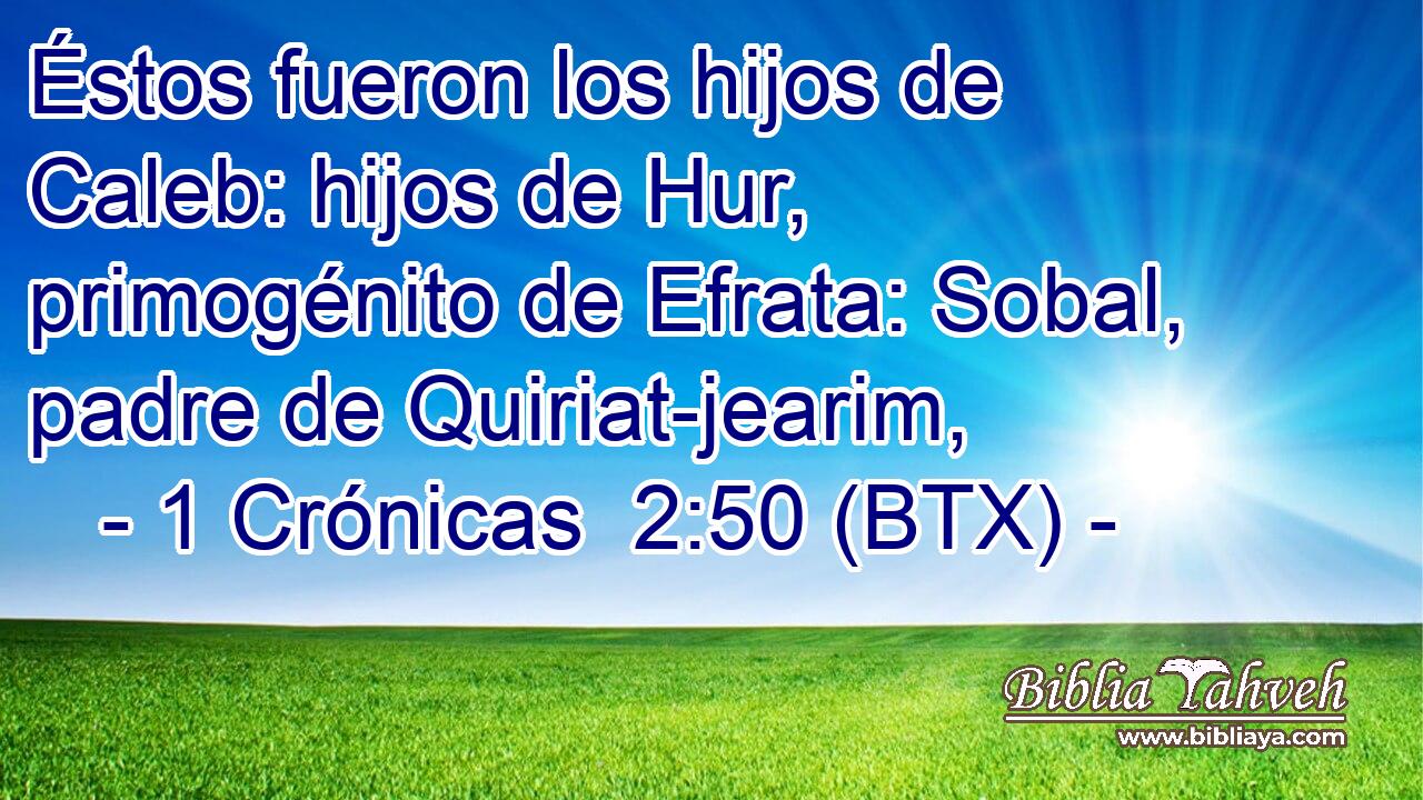 Éstos fueron los hijos de Caleb: hijos de Hur, primogénito de Efrata: Sobal, padre de Quiriat-jearim,