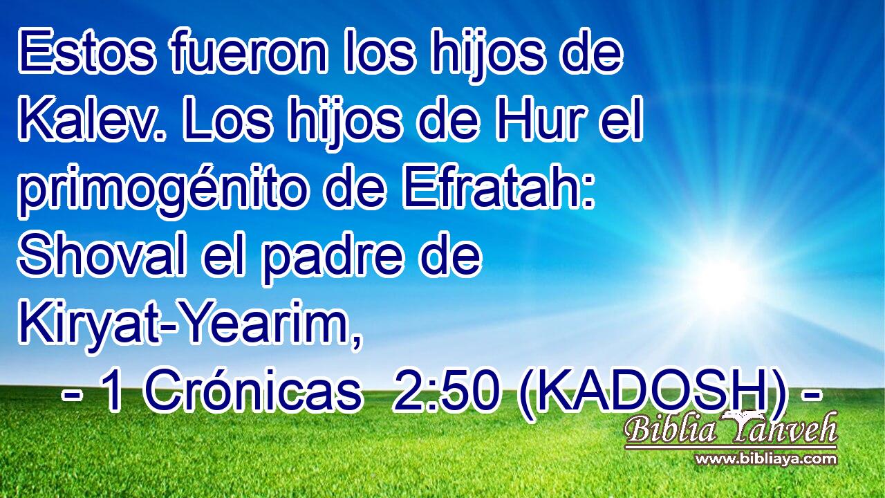  Estos fueron los hijos de Kalev. Los hijos de Hur el primogénito de Efratah: Shoval el padre de Kiryat-Yearim, 