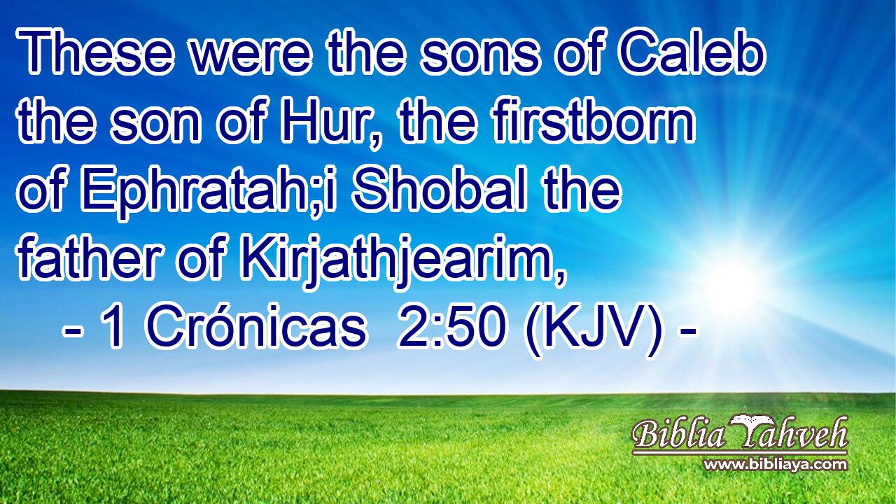 These were the sons of Caleb the son of Hur, the firstborn of Ephratah;i Shobal the father of Kirjathjearim,