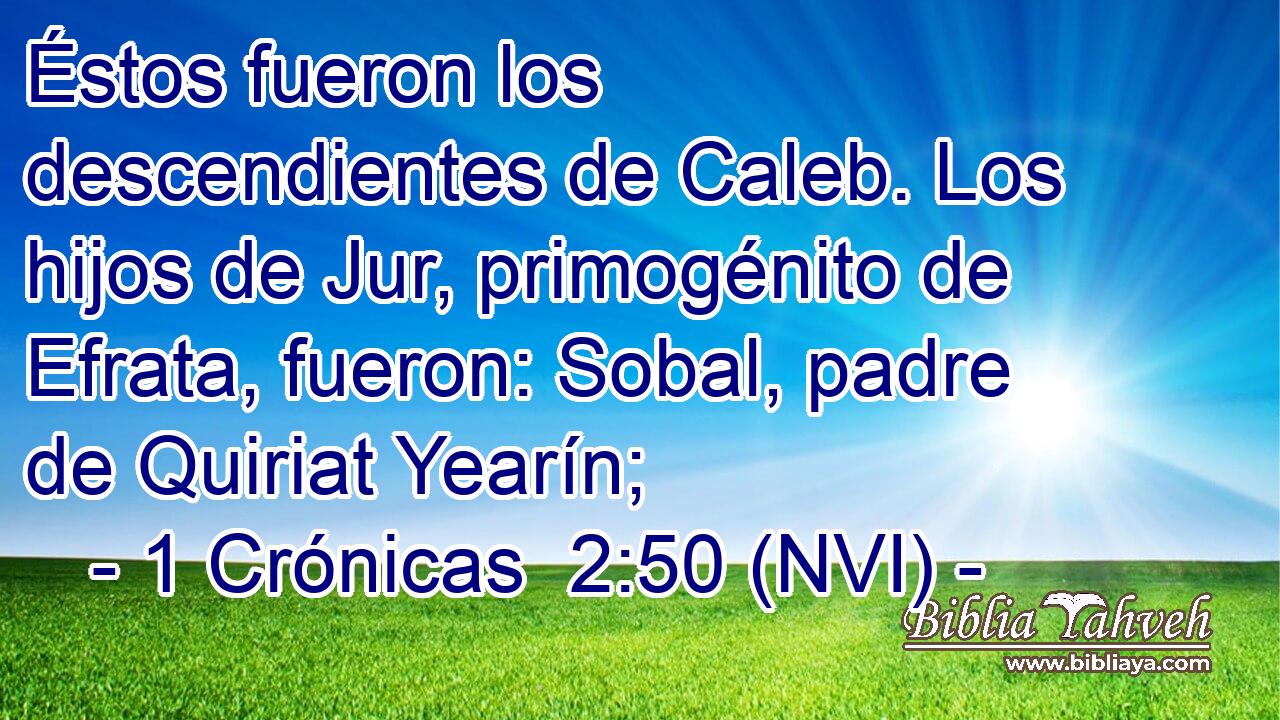  Éstos fueron los descendientes de Caleb. Los hijos de Jur, primogénito de Efrata, fueron: Sobal, padre de Quiriat Yearín; 