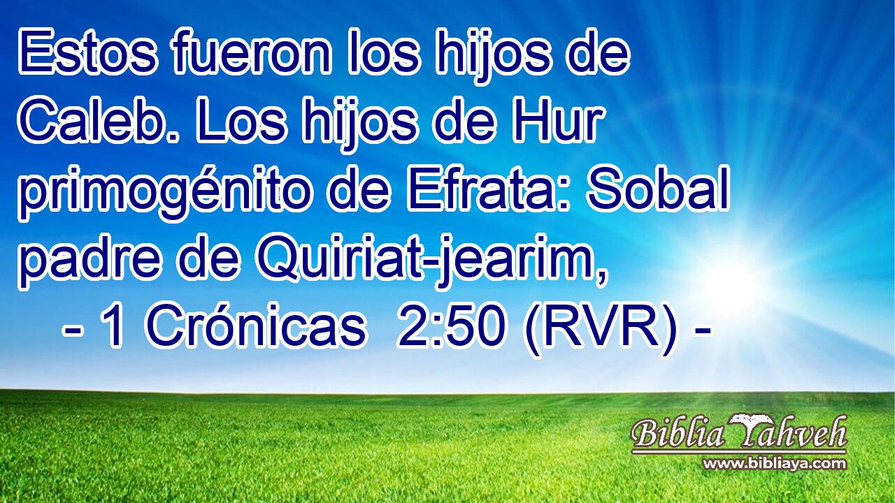 Estos fueron los hijos de Caleb. Los hijos de Hur primogénito de Efrata: Sobal padre de Quiriat-jearim,