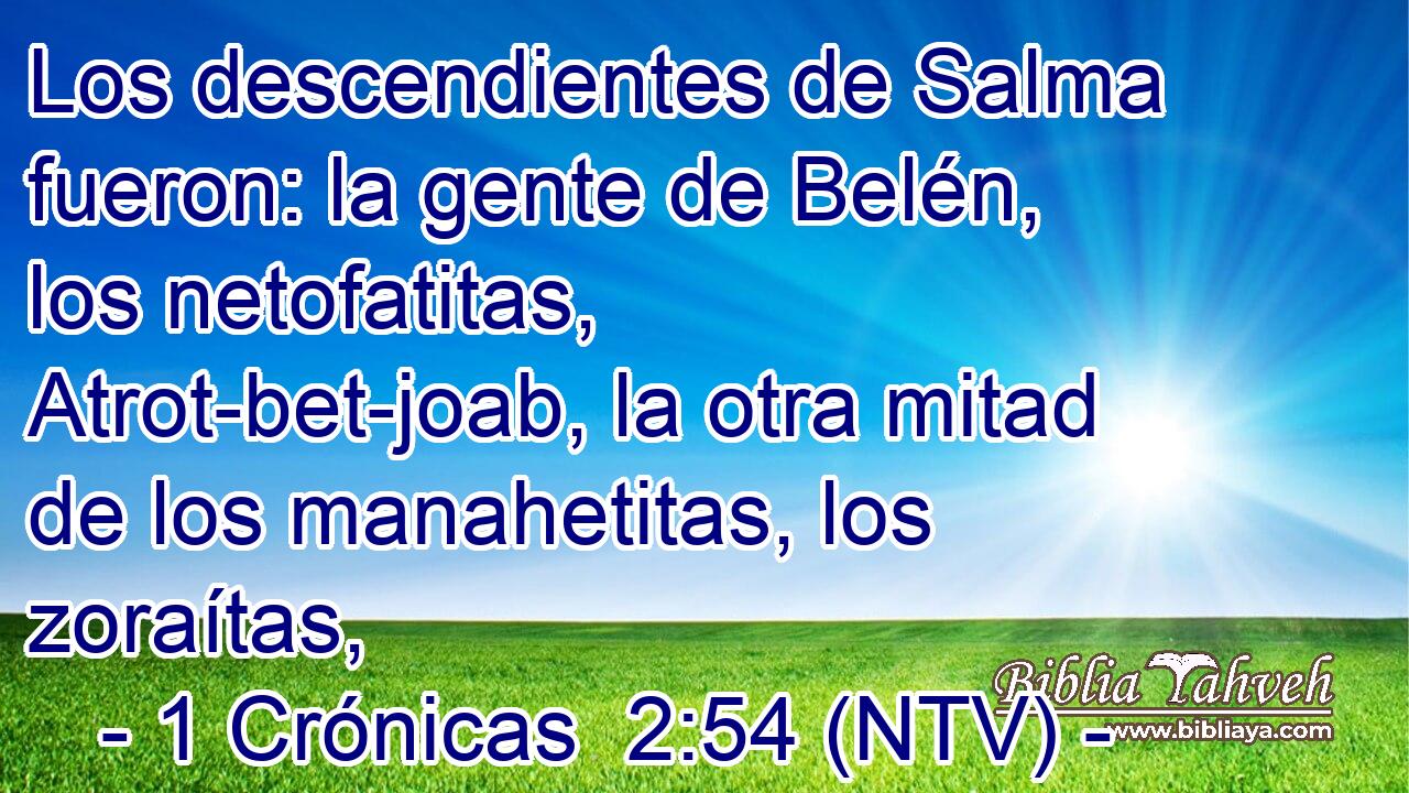 Los descendientes de Salma fueron: la gente de Belén, los netofatitas, Atrot-bet-joab, la otra mitad de los manahetitas, los zoraítas,