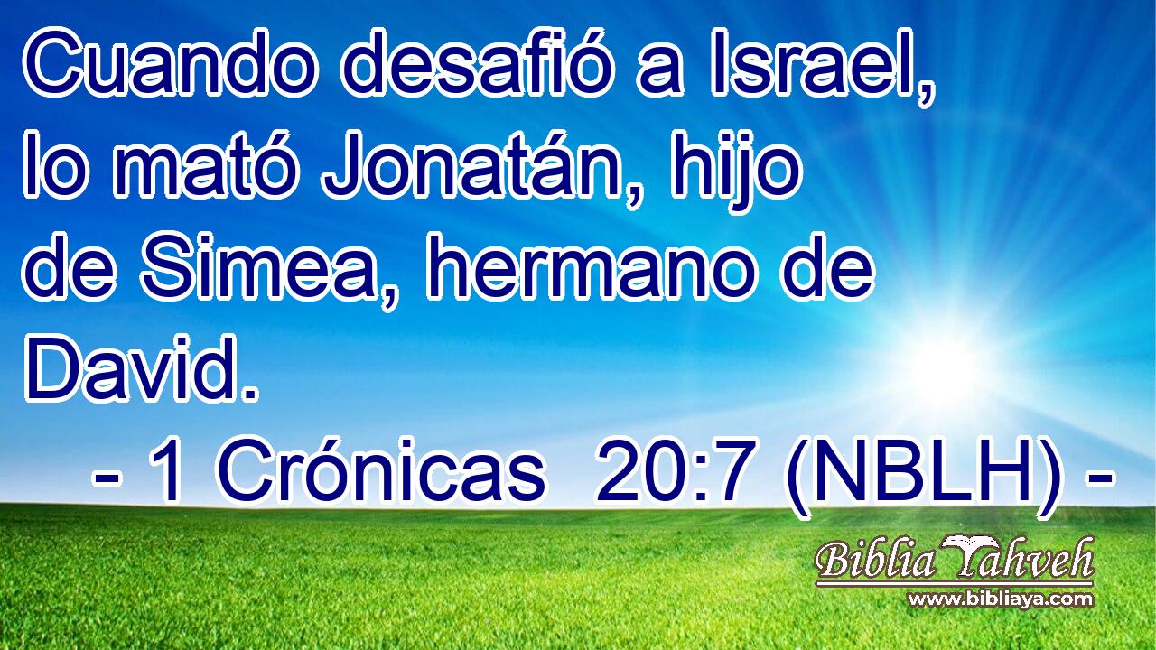  Cuando desafió a Israel, lo mató Jonatán, hijo de Simea, hermano de David. 
