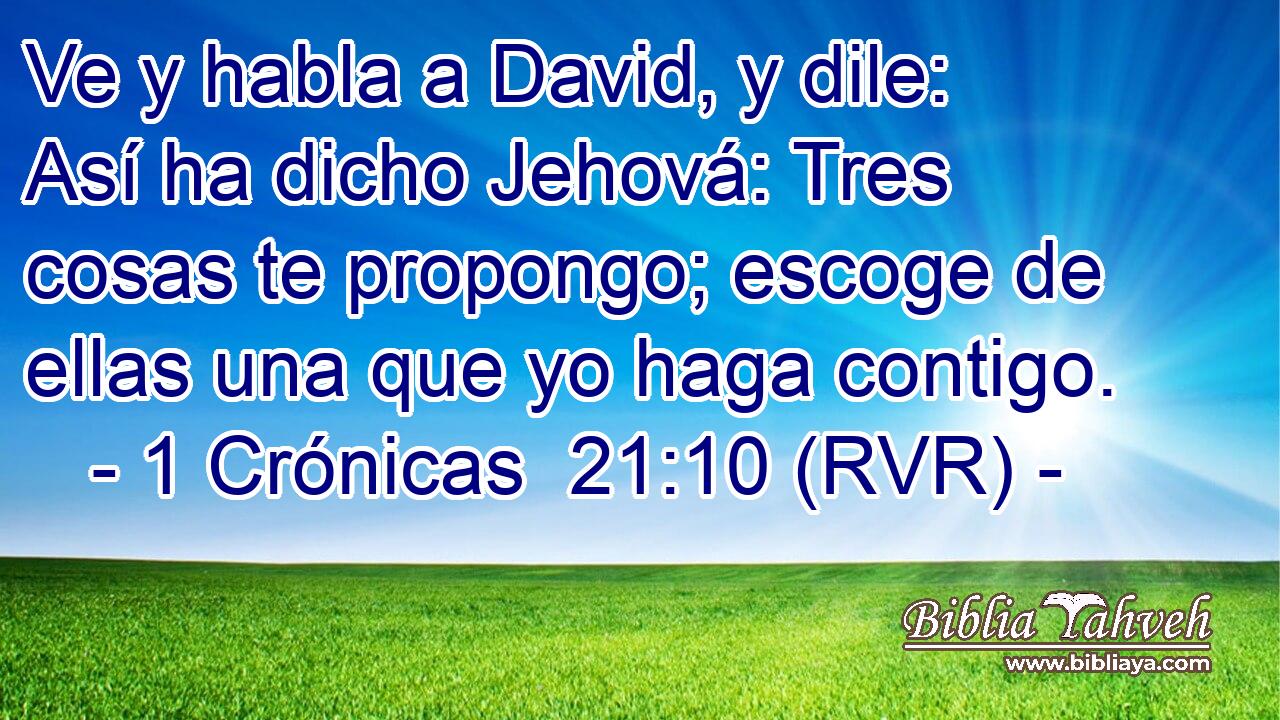 Ve y habla a David, y dile: Así ha dicho Jehová: Tres cosas te propongo; escoge de ellas una que yo haga contigo.